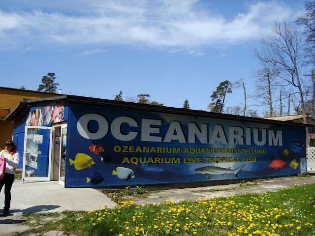 oceanarium-mielno Oceanarium w Mielnie, które warto odwiedzić